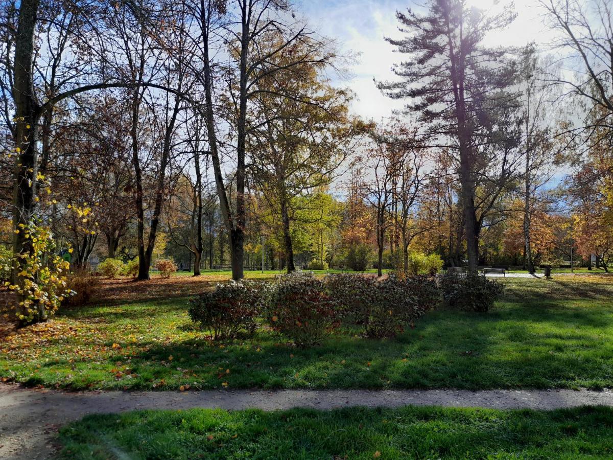 Apartment Riegerovka Cheb Exterior foto