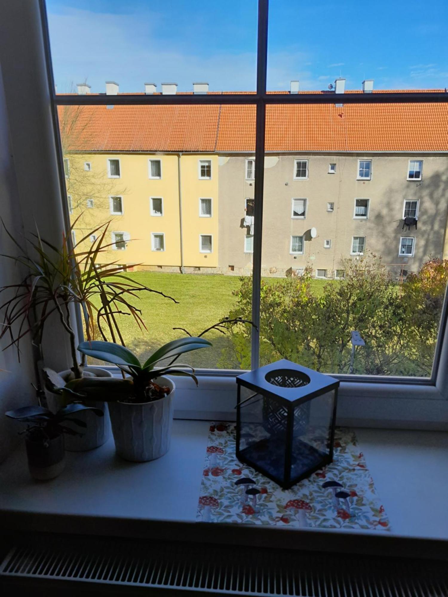 Apartment Riegerovka Cheb Exterior foto